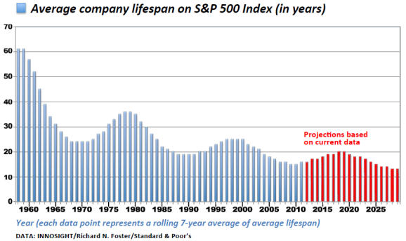 Average Company Lifespan